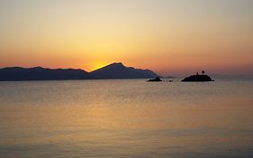 Theoxenia